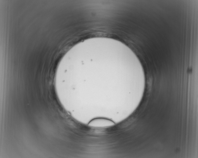 X0000115220665200911251532