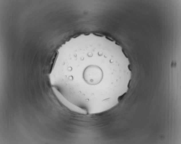 X0000115220672200911251532