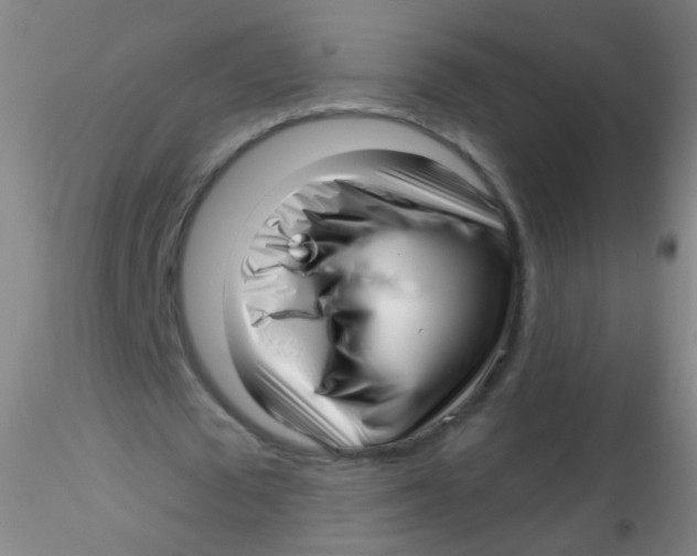 X0000115220673200911251531