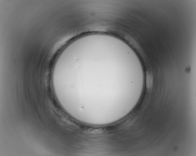 X0000115220675200911251531