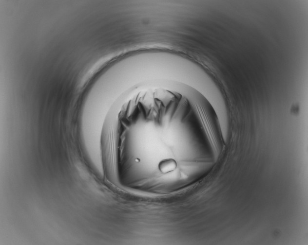 X0000115220676200911251531