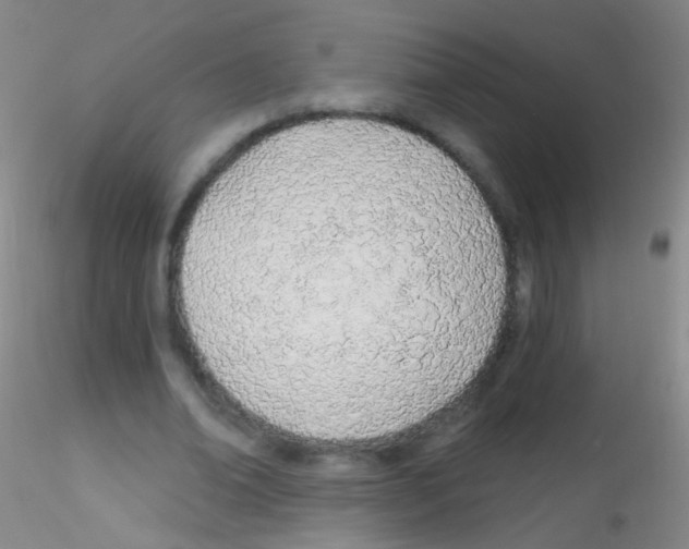 X0000115220678200911251531
