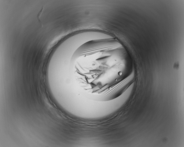 X0000115220680200911251531
