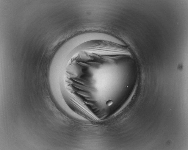 X0000115220681200911251531