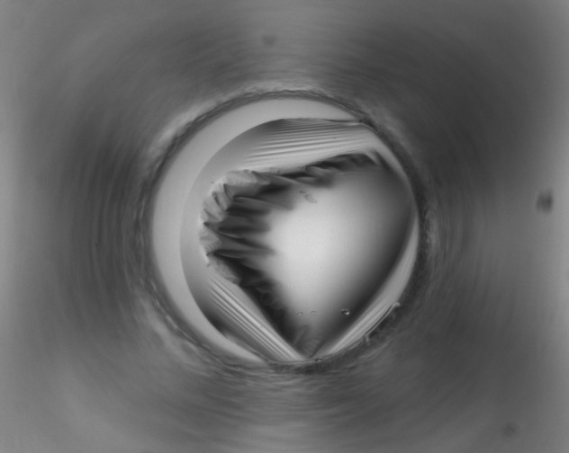 X0000115220684200911251531