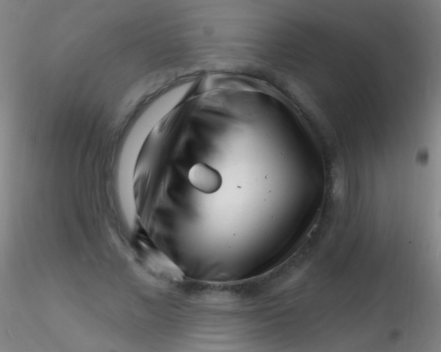 X0000115220685200911251531