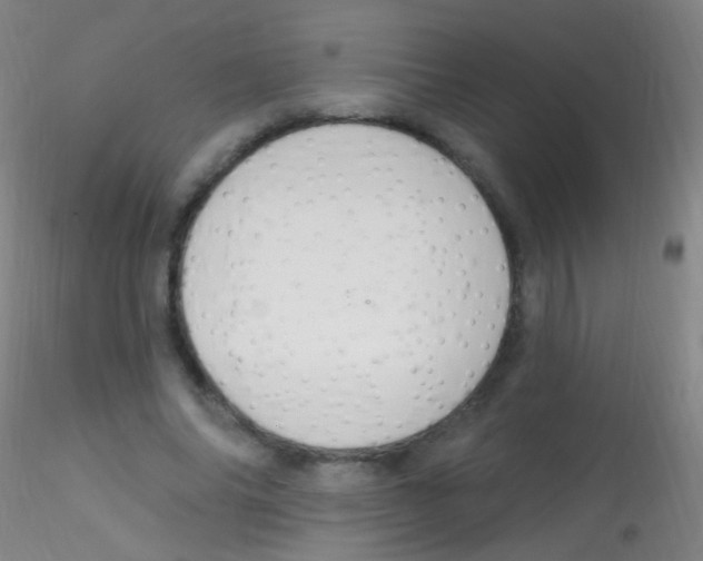 X0000115220686200911251531