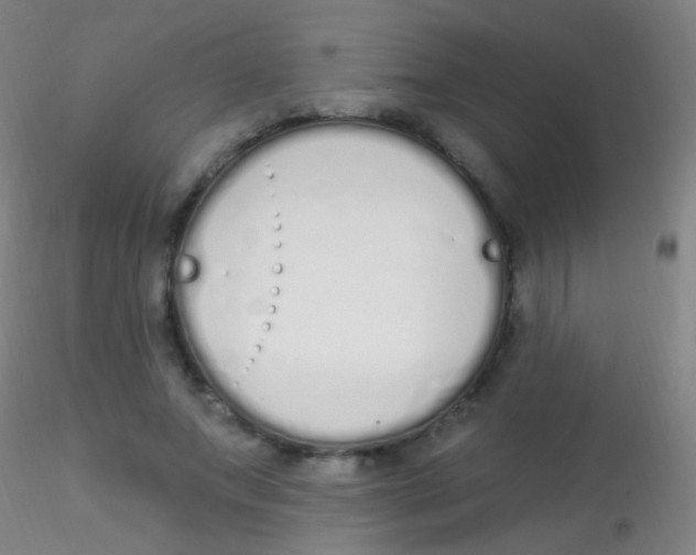 X0000115220687200911251531