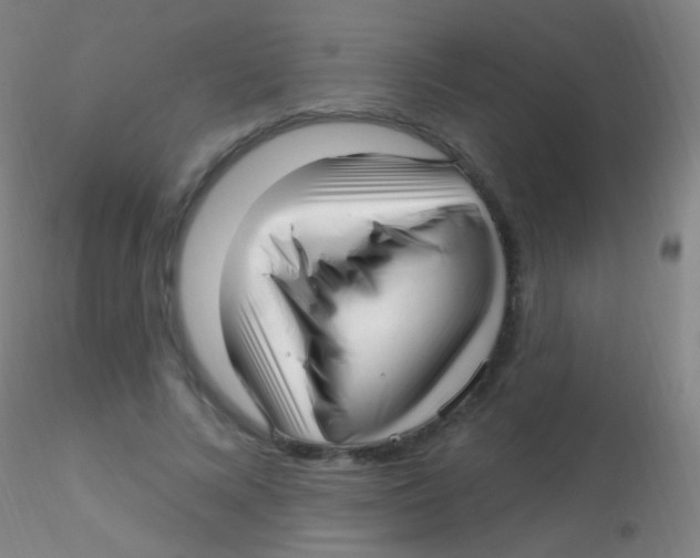 X0000115220688200911251531
