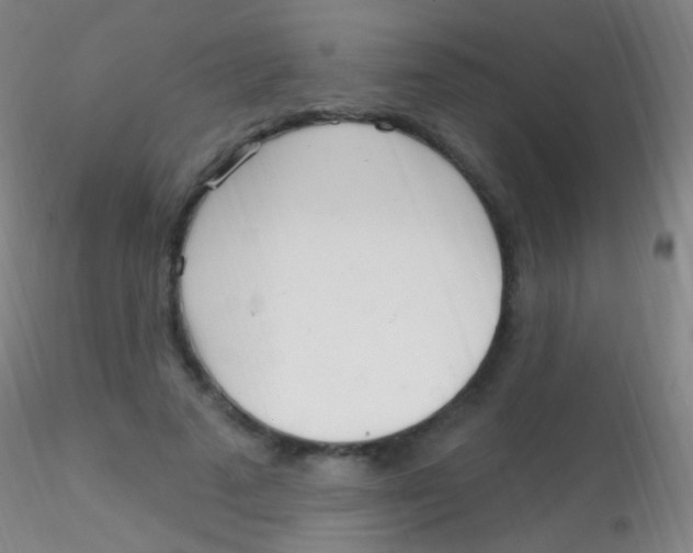 X0000115220689200911251531