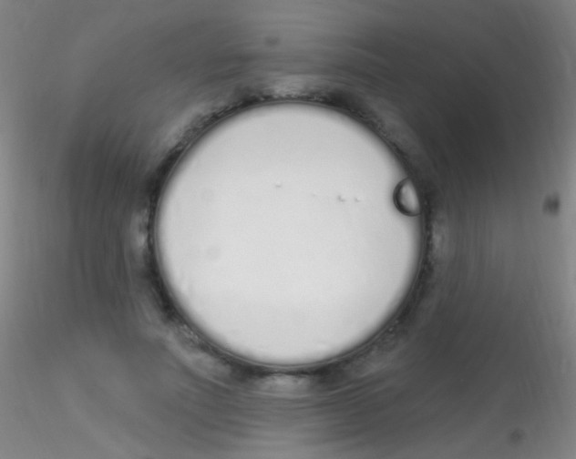 X0000115220691200911251531