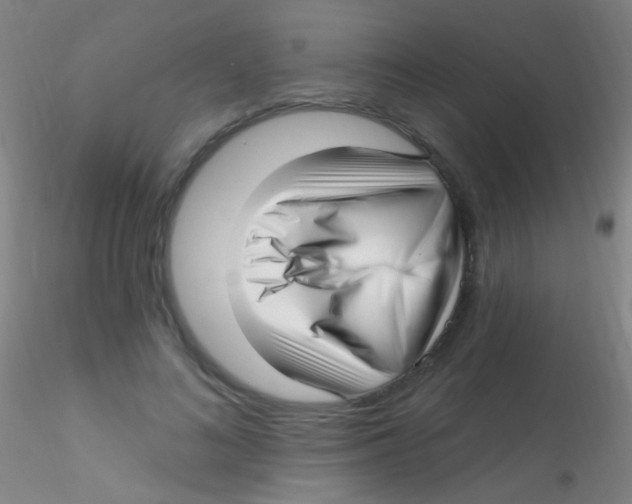X0000115220692200911251531