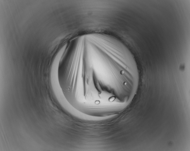 X0000115220693200911251531
