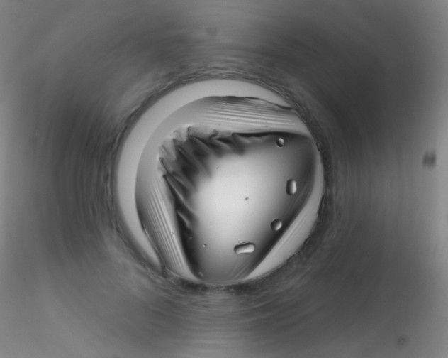 X0000115220696200911251531