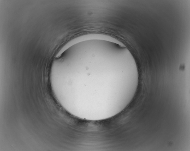 X0000115220697200911251531
