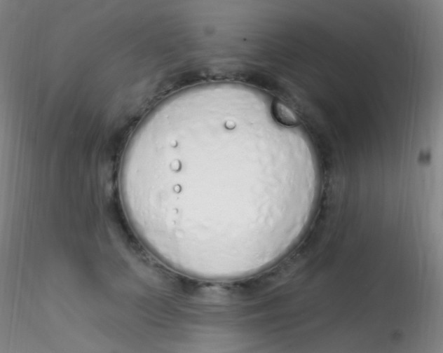 X0000115220703200911251531
