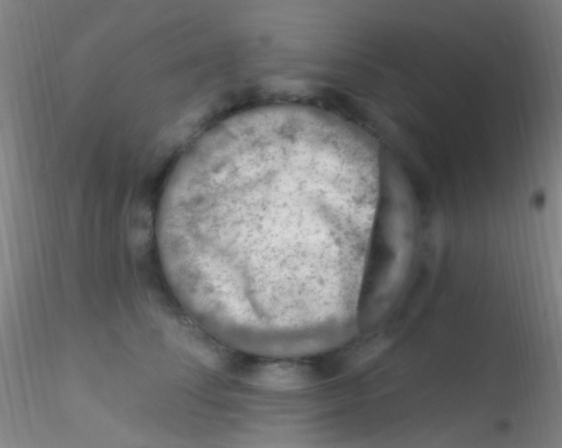 X0000115220708200911251531