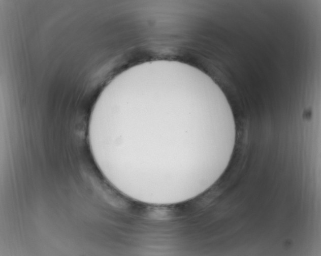 X0000115220710200911251531