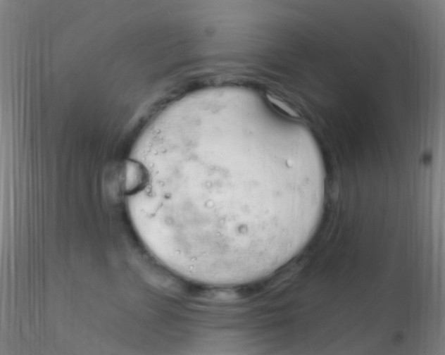 X0000115220715200911251531