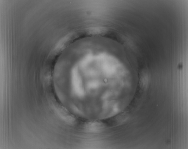 X0000115220716200911251531