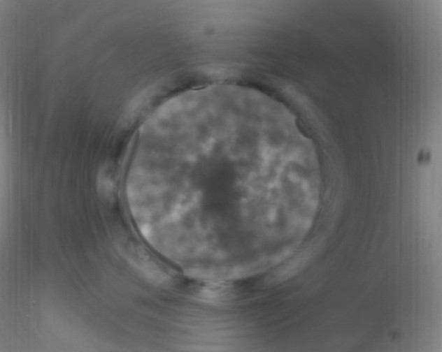 X0000115220720200911251531