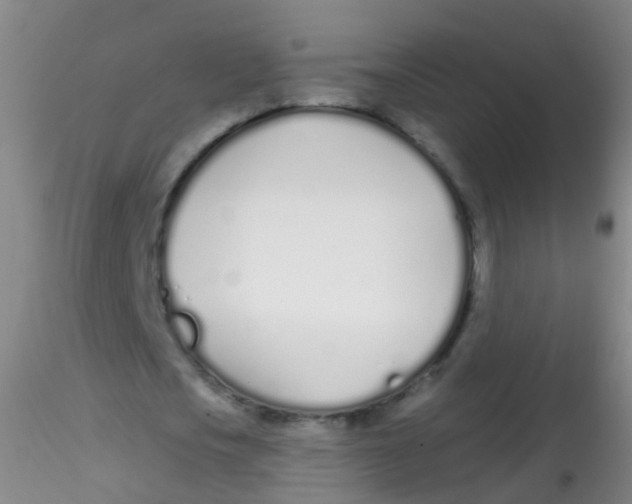 X0000115220721200911251530