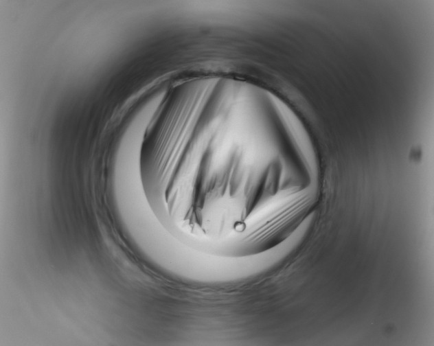 X0000115220722200911251530