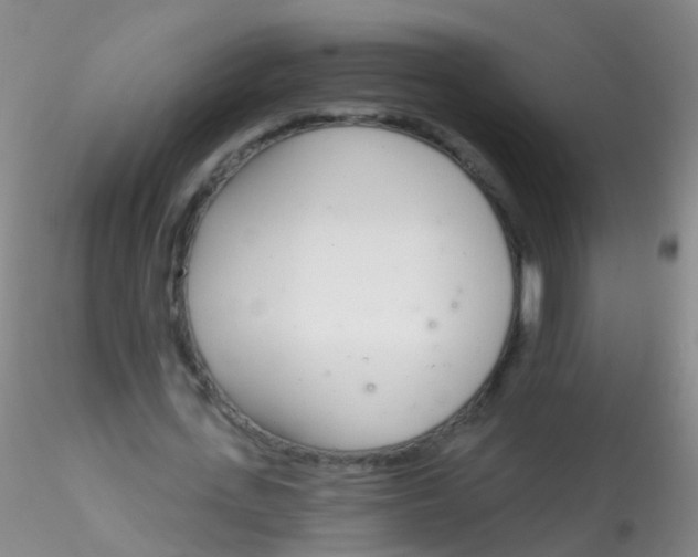 X0000115220723200911251530