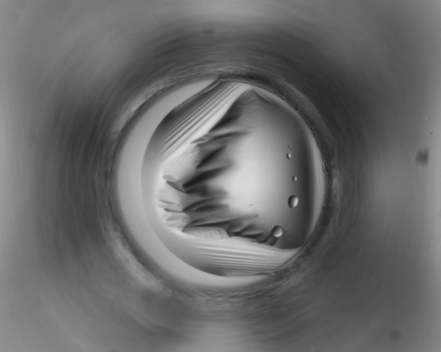 X0000115220725200911251530