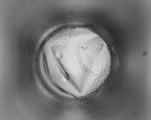 X0000115220726200911251530