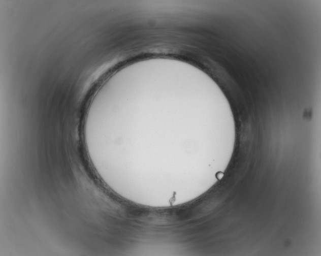 X0000115220727200911251530