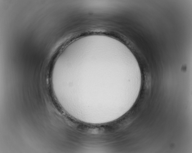 X0000115220731200911251530