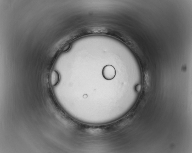 X0000115220733200911251530