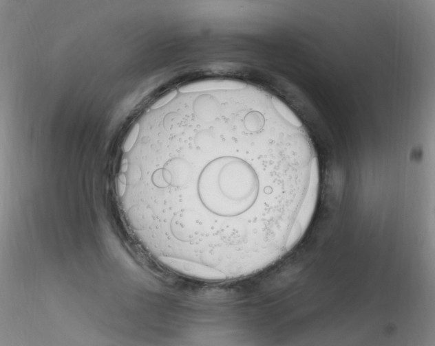 X0000115220734200911251530