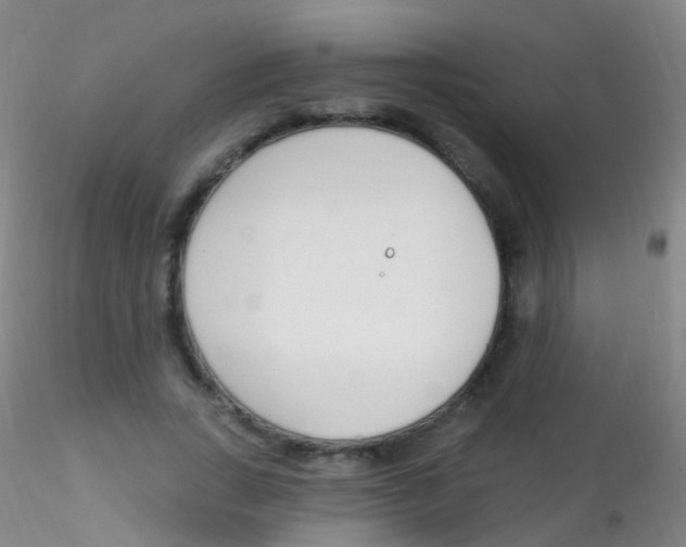 X0000115220735200911251530