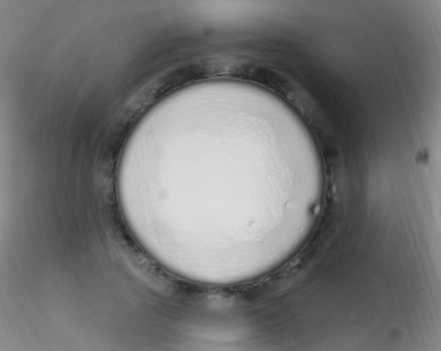 X0000115220737200911251530