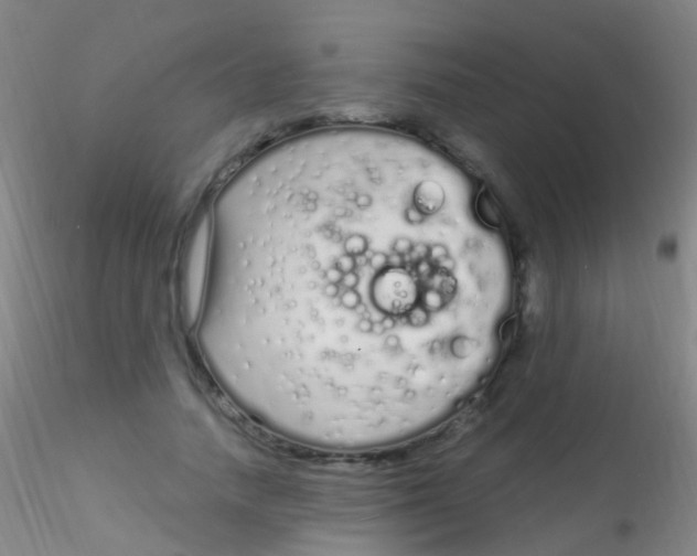 X0000115220738200911251530