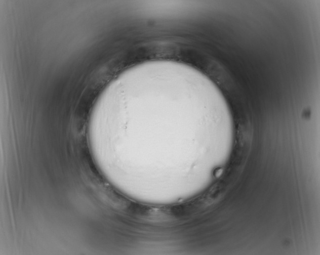 X0000115220753200911251531