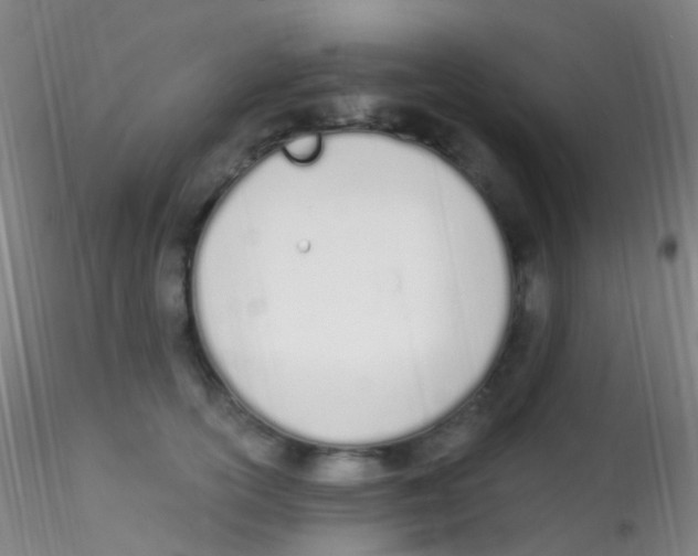 X0000115220754200911251531