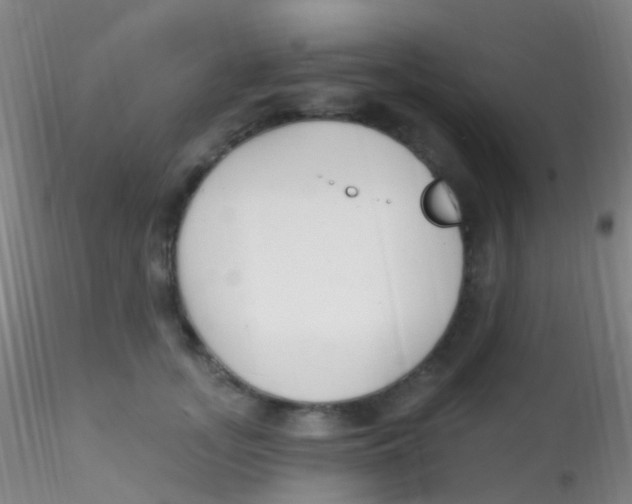 X0000115220755200911251531