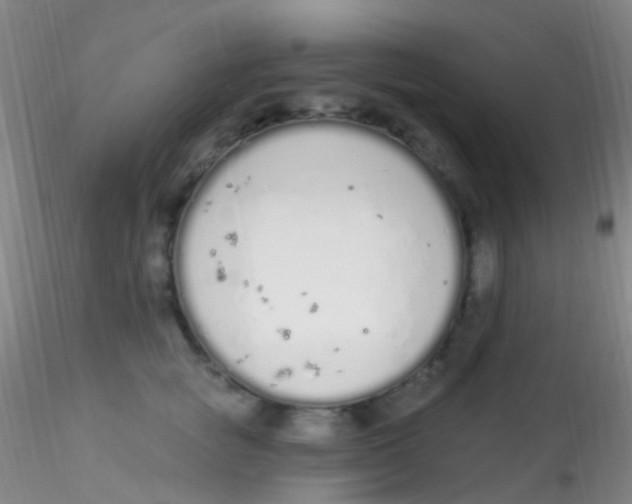 X0000115220757200911251531
