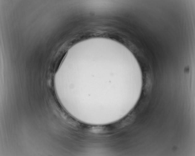 X0000115220758200911251531