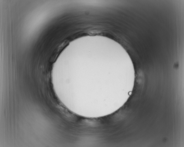 X0000115220763200911251531