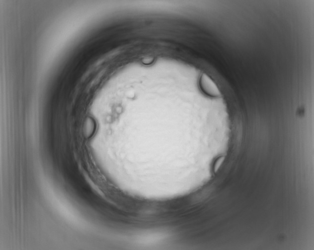 X0000115220765200911251531