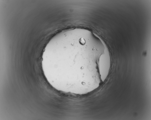 X0000115220769200911251530