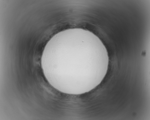 X0000115220770200911251530