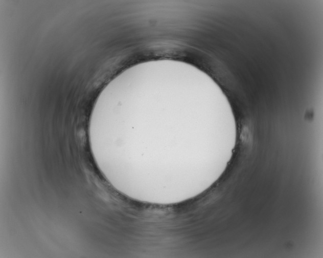 X0000115220771200911251530