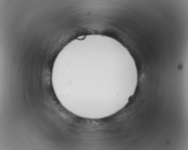 X0000115220772200911251530