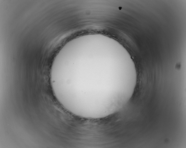 X0000115220773200911251530