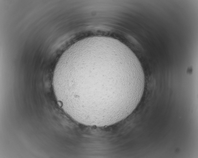 X0000115220774200911251530